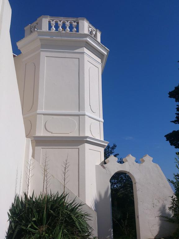 Villa-Chateau Les Terrasses - Tamaris, Plage Des Sablettes, Mer Au Bas De La Propriete La Seyne-sur-Mer Exterior foto